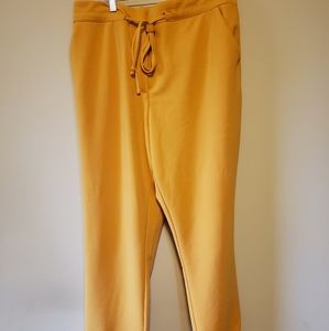 NY&Co Mustard Casual Pants